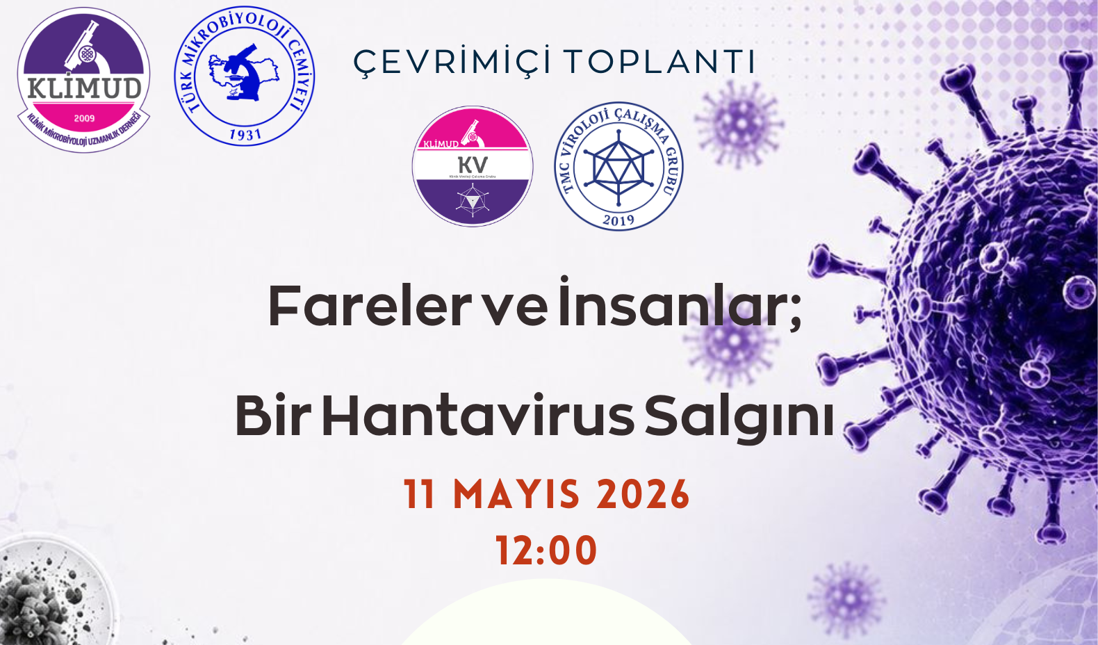 Fareler ve İnsanlar; Bir Hantavirus Salgını - 11 Mayıs 2026